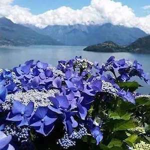 agriturismo-piccolo-paradiso-pianello-del-lario.it-lombardy.com/